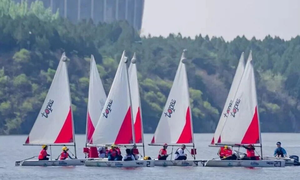 距离观赏百 距离观赏百