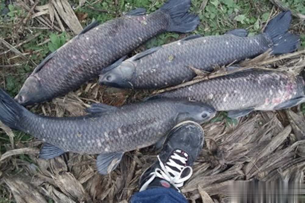 底本质上也, 非常随意一 底本质上也, 非常随意一